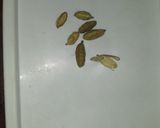 A picture of step 3 of Boiled Nduma (arrowroot) with Cardamon and Onion.