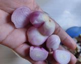 Foto langkah ke 3 dari resep #28 Tongkol Suwir Pedas.