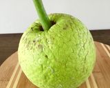 Foto del paso 1 de la receta Tostones de Pana (panapén - buen pan - "breadfruit")