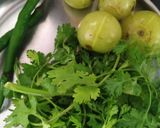 आंबला की चटनी (Amla ki chutney recipe in Hindi) रेसिपी चरण 1 फोटो