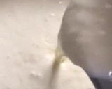 Foto del paso 9 de la receta: Semifrío de queso y mango 🥭