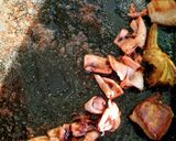 Foto del paso 5 de la receta: Paella "La nostra senyoreta" 🥘