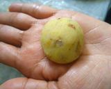A picture of step 4 of Aloor chop.
