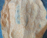 Foto del paso 10 de la receta: Brevas de boquerones rellenas de cebollino, ajos puerros y queso