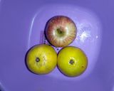 A picture of step 1 of Fruit Salad.