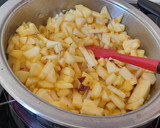 Foto del paso 3 de la receta: Puré de manzana -guarnición para carnes-