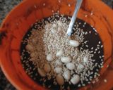 मूंगफली चॉकलेट चिक्की(Moongfali chocolate chikki recipe in Hindi) रेसिपी चरण 5 फोटो