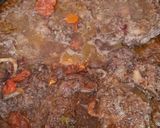 Foto del paso 7 de la receta: Ossobuco de ternera