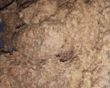 Foto del paso 1 de la receta: Miss falafel