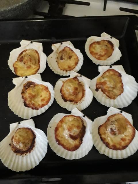 Гребешок запеченный в ракушке. Морской гребешок блюдо. Морской гребешок ракушка. Морской гребешок ракушка. Как выглядит гребешок.