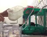 Foto langkah ke 3 dari resep Taiso (tahu isi baso).