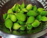काटवलची भाजी (katvalchi bhaji recipe in marathi) रेसिपी स्टेप 1 फोटो 