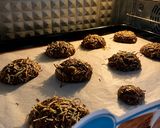 Foto langkah ke 4 dari resep Cookies Nasi - Memanfaatkan nasi sisa.