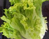 Foto do passo 1 de Saladinha Especial