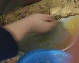 Φωτογραφία βήματος 5 της συνταγής Ρολό με κιμά κοτόπουλο