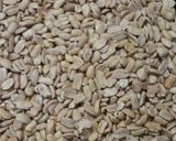 Foto del paso 1 de la receta: Crema o mantequilla de Maní