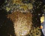A picture of step 2 of Palak paneer.