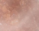 Foto del paso 6 de la receta: Guiso de lentejas