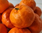 Foto del paso 1 de la receta: 🍊Mousse de mandarina y yogur 🍊 3 ingredientes 🍊