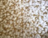 A picture of step 1 of California Farm Soy Natto Paste for Miso Soup.