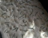 Foto del paso 3 de la receta: Focaccia súper fácil!!
