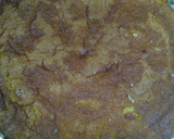 Foto del paso 3 de la receta: Postre de Cumpleaños para "Mi Cumple"