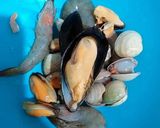 Foto del paso 11 de la receta: Sopa de mariscos y pescados congelados y gambas frescas