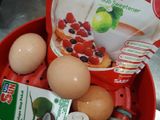 Srikaya Palembang DEBM