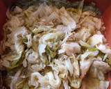 A picture of step 2 of Cabbage.