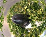 A picture of step 3 of Wild Garlic Pesto.