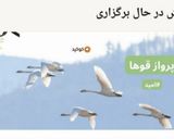 عکس مرحله 2 از دستور تست پنیر و خرما
