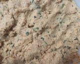 Foto del paso 5 de la receta: Medallones de Garbanzos