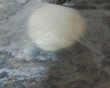 Foto del paso 2 de la receta: Tortas fritas (las más ricas qué hayas probado!!!)