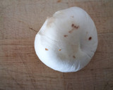 Foto del paso 1 de la receta: Calabacines y champiñones salteados con gambones en salsa de mandarina y menta