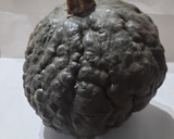 Foto del paso 1 de la receta: Zapallo Cabutia relleno