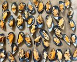 A picture of step 4 of Mussels with Cheese and Garlic.