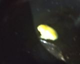 A picture of step 1 of Energy Ladoo.