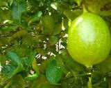 Instant Lemon Pickle recipe step 1 photo
