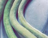 A picture of step 1 of Armenian Cucumber Vegetable (Tar ki sabji).