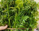 Hình bước làm 1 của món Rau dớn xào tỏi