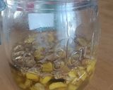 Une image de l'étape 3 de 🫚Koso au Gingembre (Sirop Fermenté).