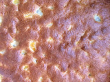 Kuchen alemán