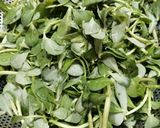 Foto langkah ke 1 dari resep Tumis daun krokot.