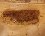 Une image de l'étape 4 de Papillottes de Bar au Riz.