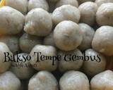 Cara Membuat Bakso Tempe MenjesGembus 6