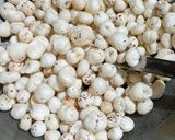 मखाना रेवड़ी(Makhana revdi recipe in hindi) रेसिपी चरण 1 फोटो