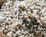 हरियाली साबुदाणा खिचडी (Hariyali Sabudana Khichdi Recipe In Marathi) रेसिपी स्टेप 6 फोटो 