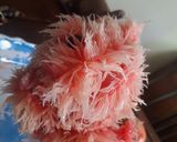 Hình bước làm 3 của món Chó bưởi
