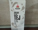 Sajt házilag bolti zsíros tejből recept fázis 1 fotója