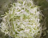 कोबीची भाजी (kobichi bhaji recipe in marathi) रेसिपी स्टेप 1 फोटो 
